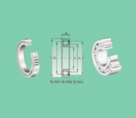 Cuscinetto a rulli cilindrici a pieno riempimento SL 183005 ISB 25X47X16
