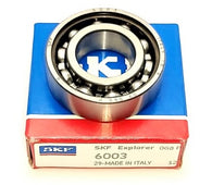 cuscinetto-c_6003.jpg