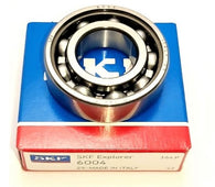 cuscinetto-c_6004.jpg